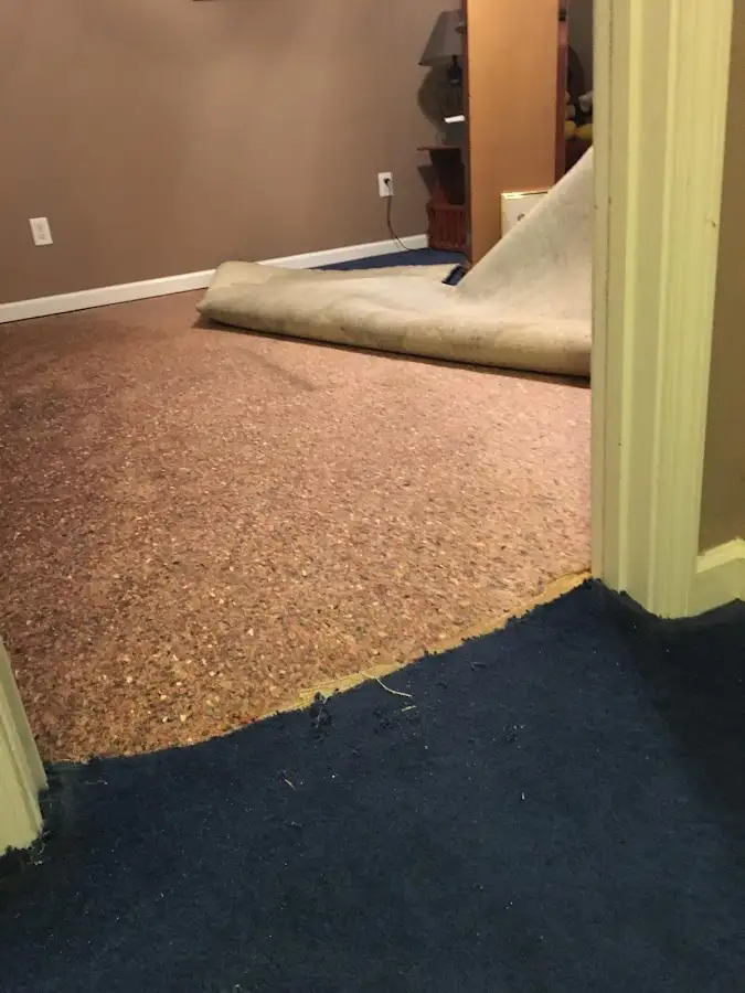 Carpet pad removal revealing water damage during Drying & Dehumidification in Carnegie