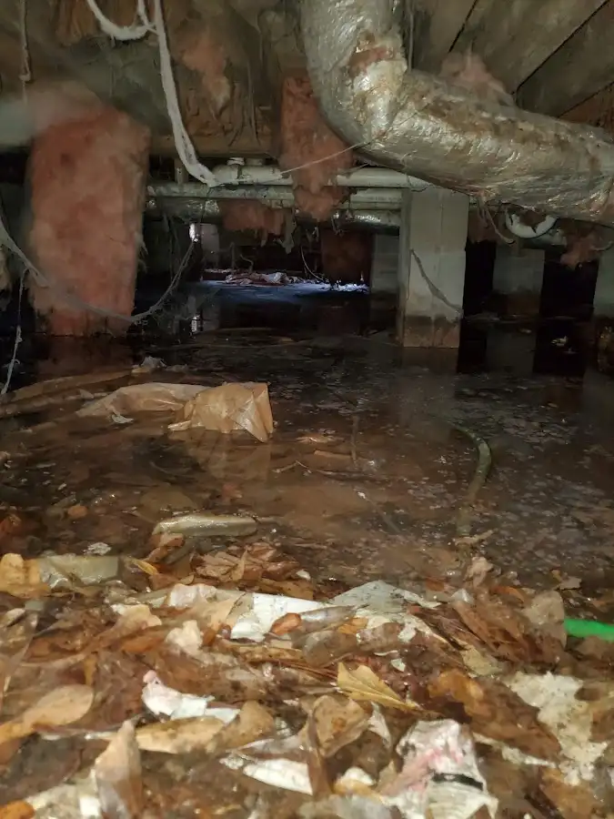 Crawl space flood assessment for Leak Detection & Repair in Carnegie